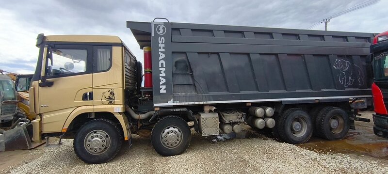 Shacman (Shaanxi) SX 8x4 Самосвал — фото 4