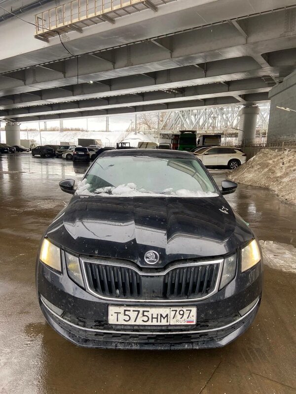 Skoda OCTAVIA — фото 1