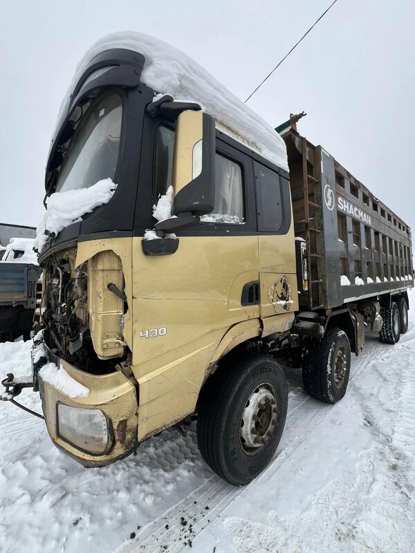 Shacman (Shaanxi) SX 8x4 Самосвал — фото 2