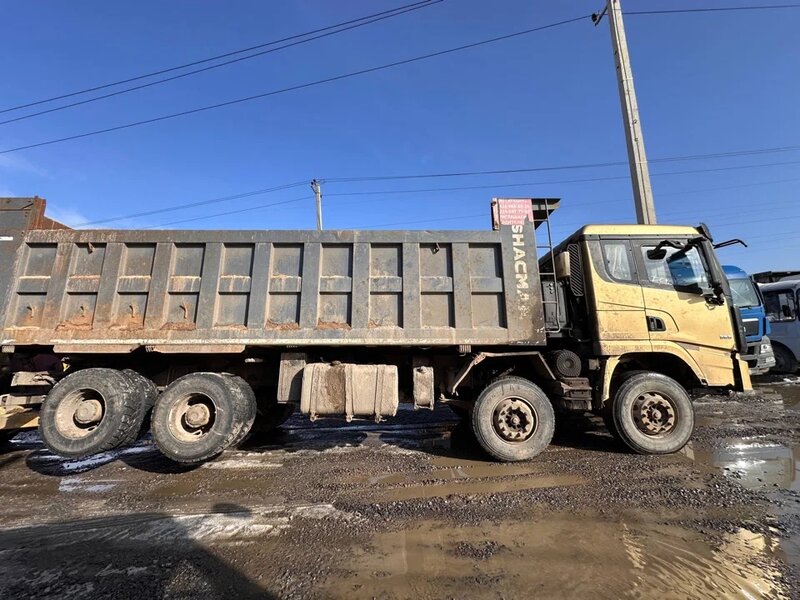 Shacman (Shaanxi) SX 8x4 Самосвал — фото 3