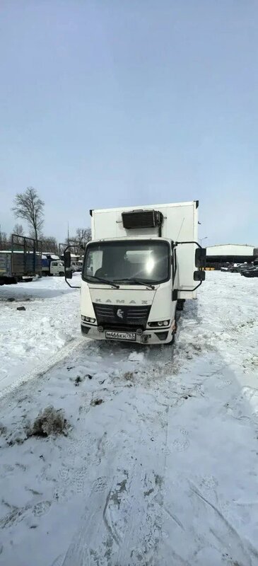 ГРУППА ПРОМАВТО 1736 на шасси КамАЗ 43085 4x2 Изотермический/рефрижератор — фото 1