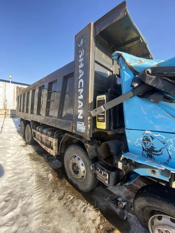 Shacman (Shaanxi) SX 8x4 Самосвал — фото 6