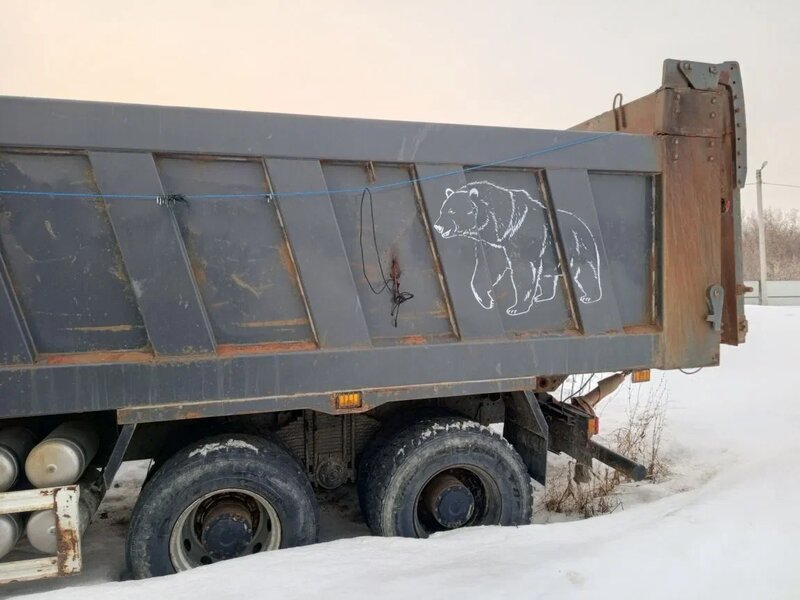 Shacman (Shaanxi) SX 8x4 Самосвал — фото 10