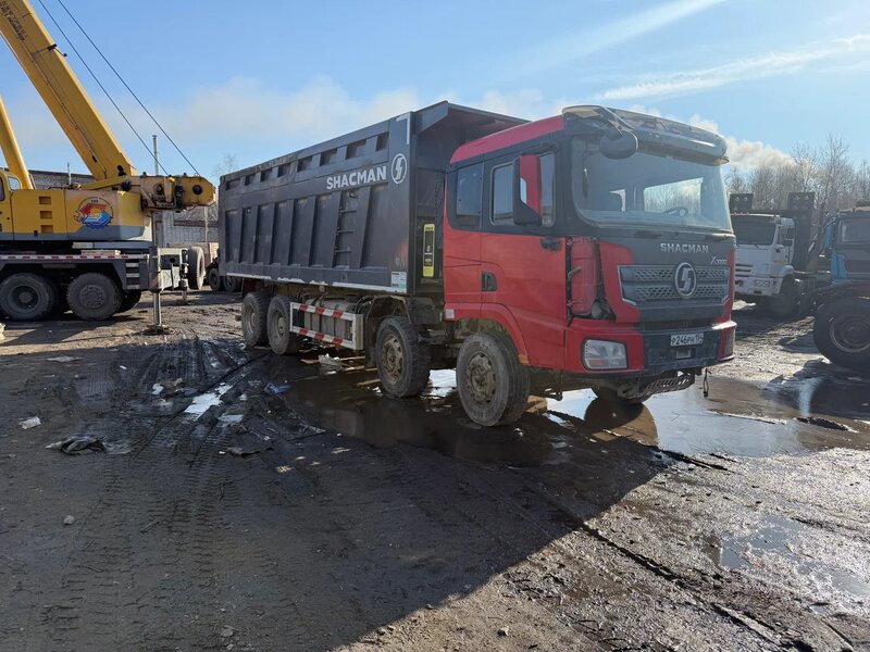 Shacman (Shaanxi) SX 8x4 Самосвал — фото 3