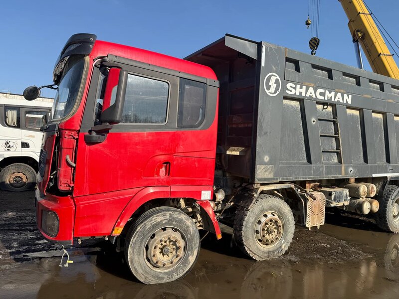 Shacman (Shaanxi) SX 8x4 Самосвал — фото 4