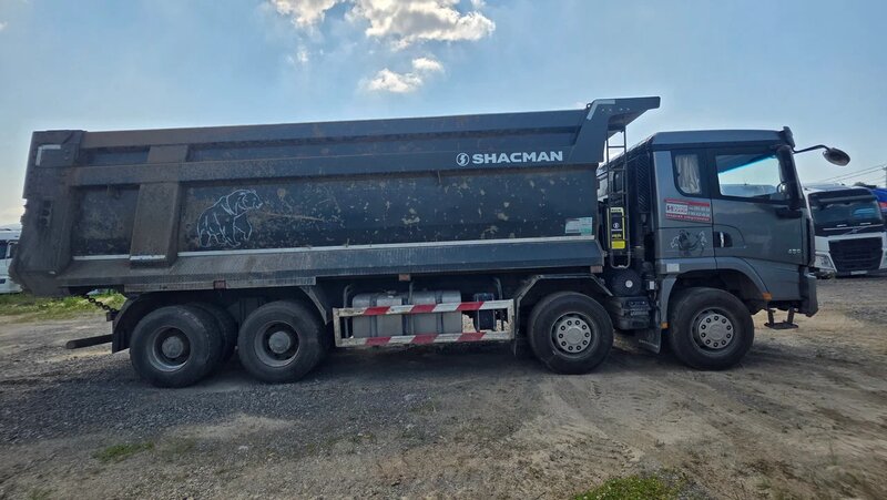 Shacman (Shaanxi) SX 8x4 Самосвал — фото 5