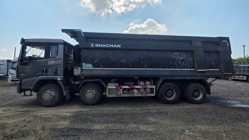 Shacman (Shaanxi) SX 8x4 Самосвал — фото 6
