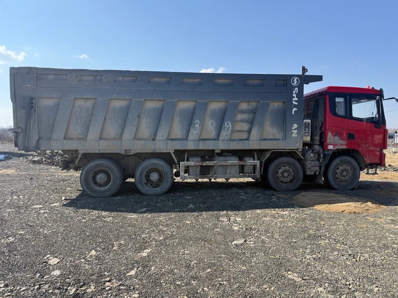 Shacman (Shaanxi) SX 8x4 Самосвал — фото 6