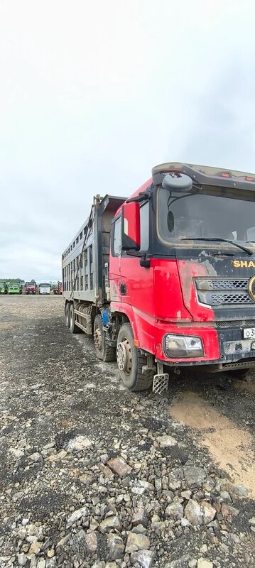 Shacman (Shaanxi) SX 8x4 Самосвал — фото 2