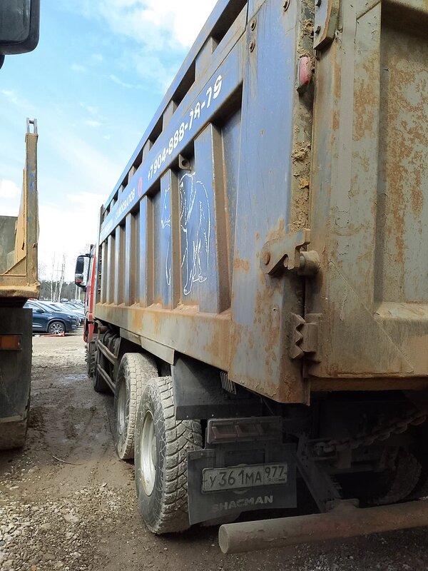 Shacman (Shaanxi) SX 8x4 Самосвал — фото 4